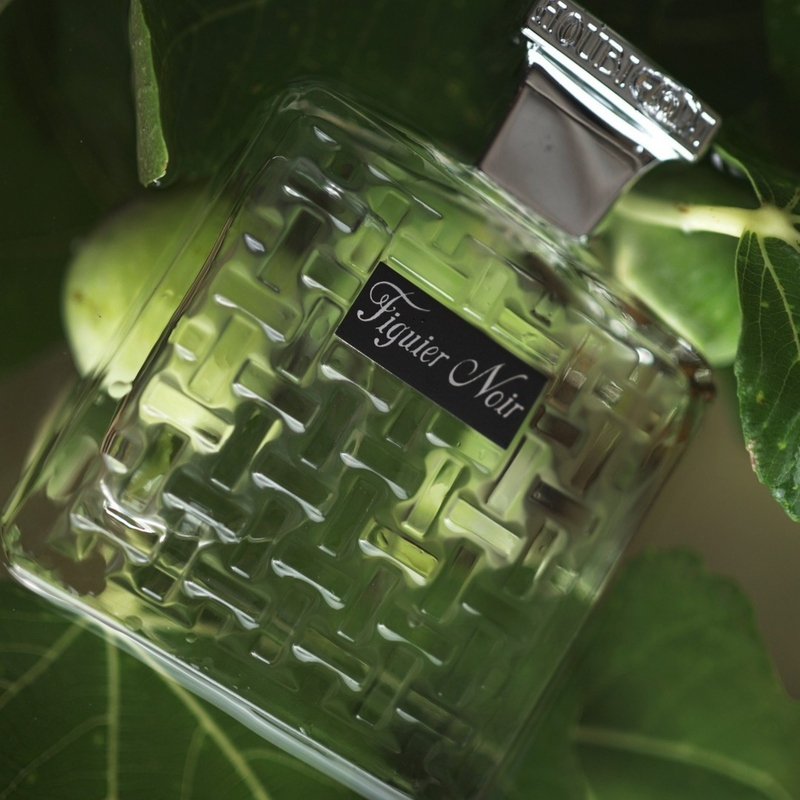 Houbigant Figuier Noir フィゲ ノワール 100ml Figuier Noir Eau de Parfum Houbigant Paris