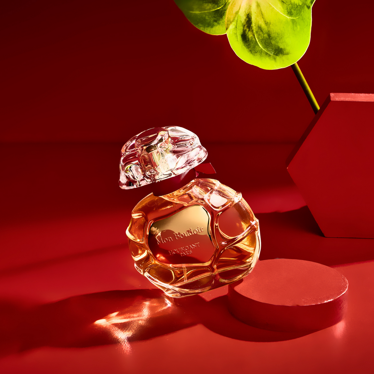 monboudoir_34738535-cb4b-4102-